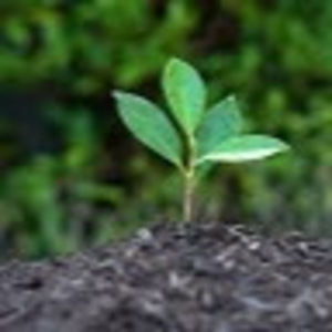 Meet your Posher, Mi